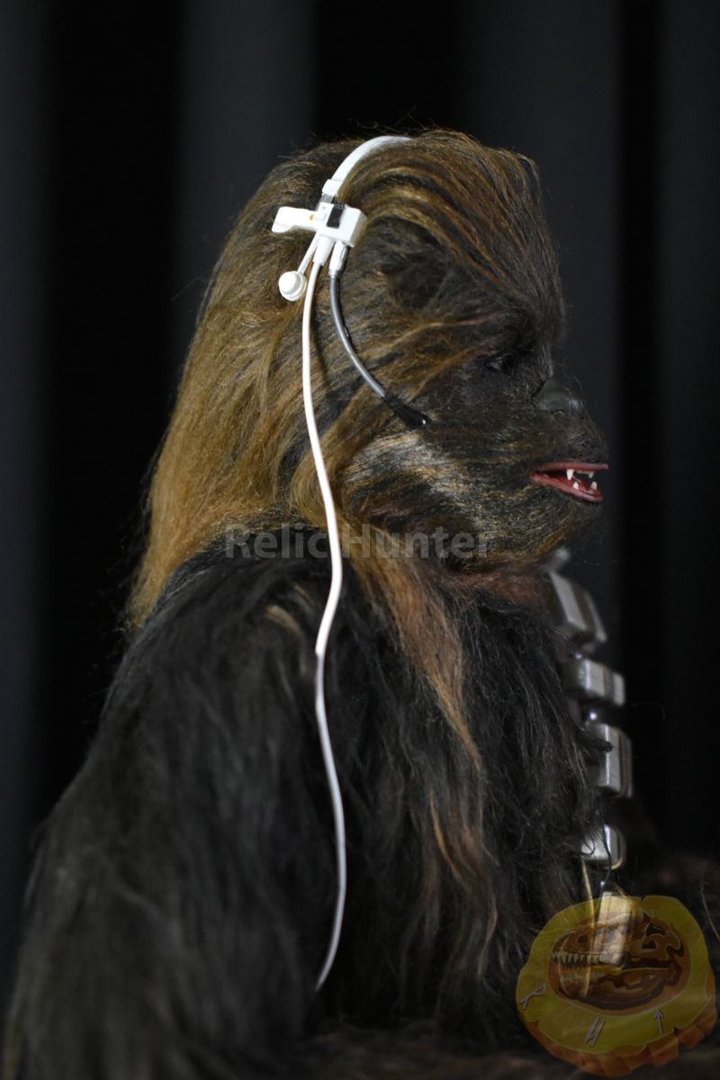 Hot Toys Han Solo & Chewbacca Deluxe Edition bemutató